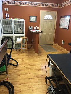 The salon